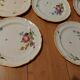 10 dessert plates painted decorated with flowers, insects (all different)