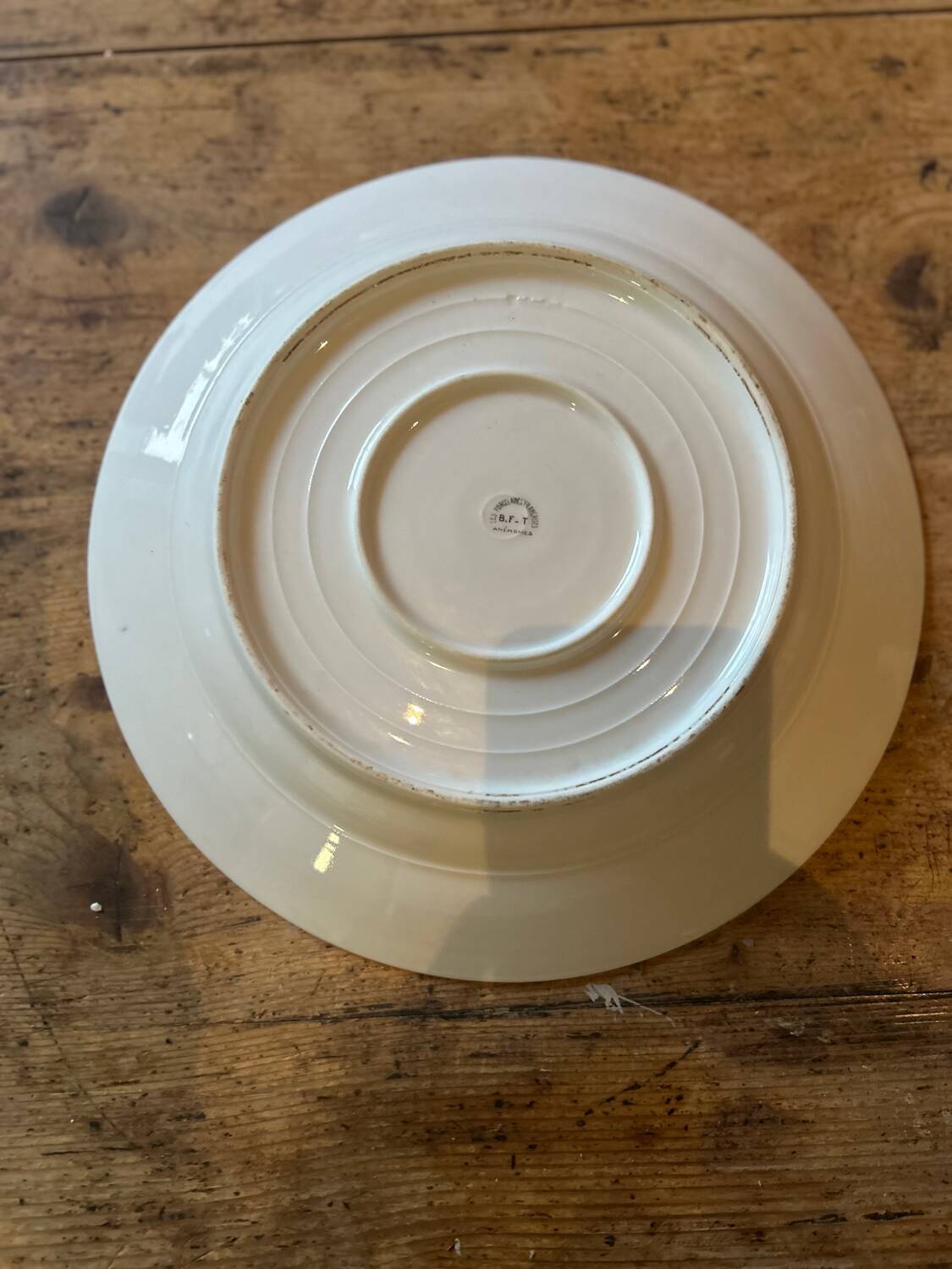Série de 12 assiettes plates en porcelaine aux anémones