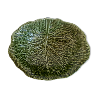 Dish in dabbling cabbage leaf