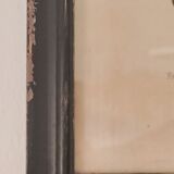 Framed herbarium illustration with a vintage effect.