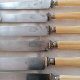 Couteaux acier et corne