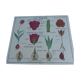Botanical plank
