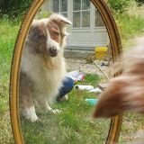 Oval Mirror