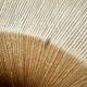 Teakwood and Raffia Bast Pendant Lamp by Temde