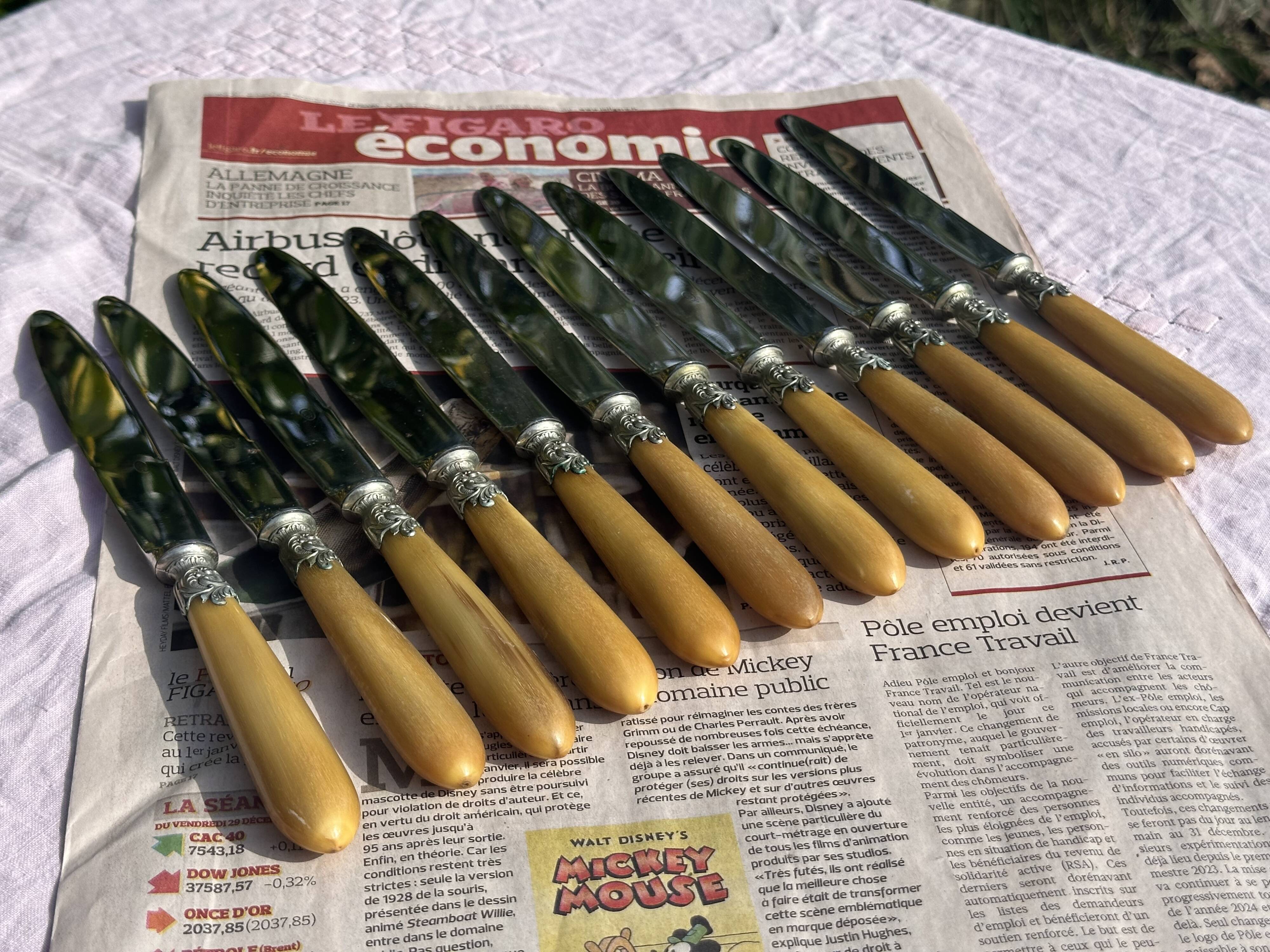 Set of 12 Antique Art Nouveau Table Knives - Tableware