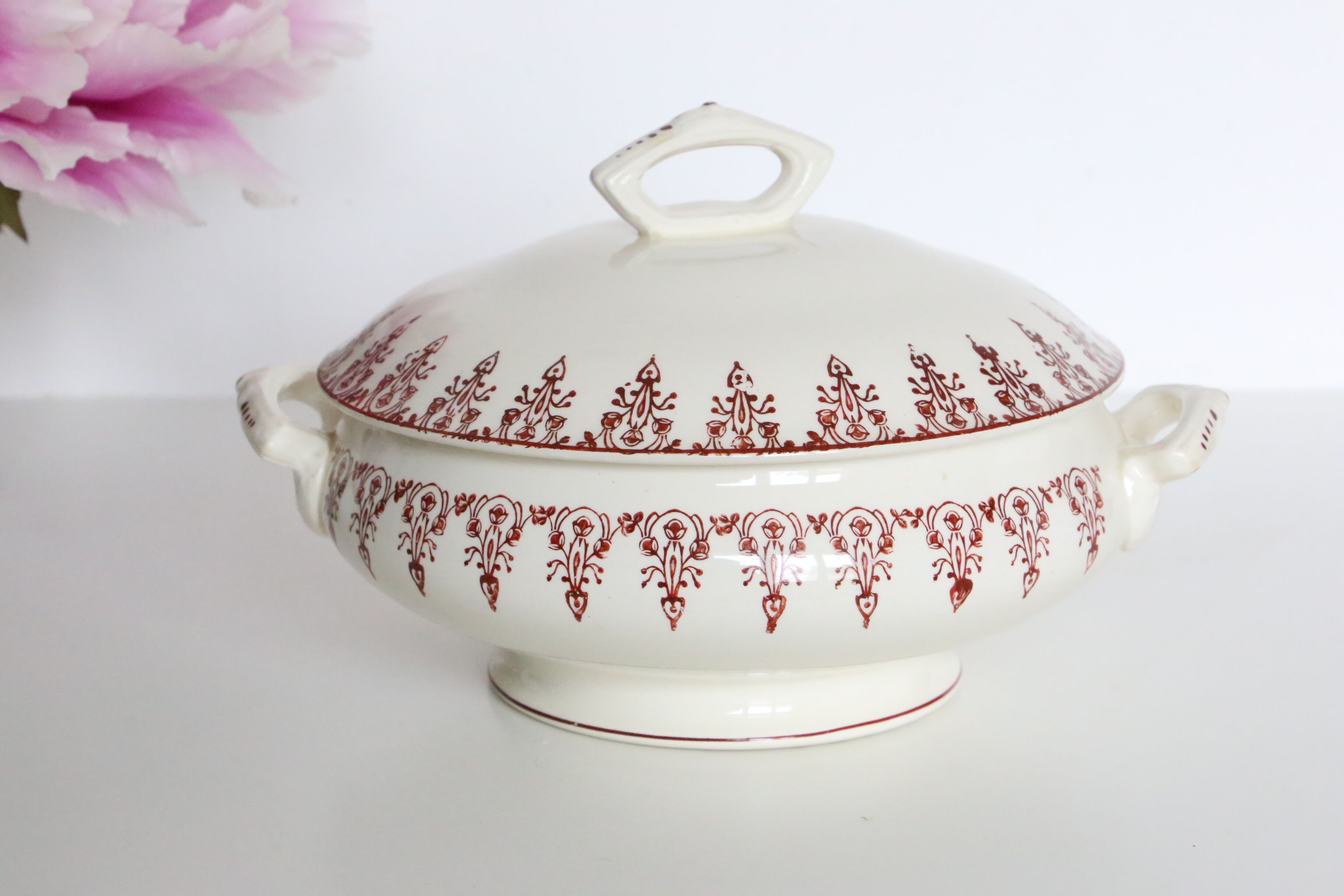 Pretty Red Iron Earth soup