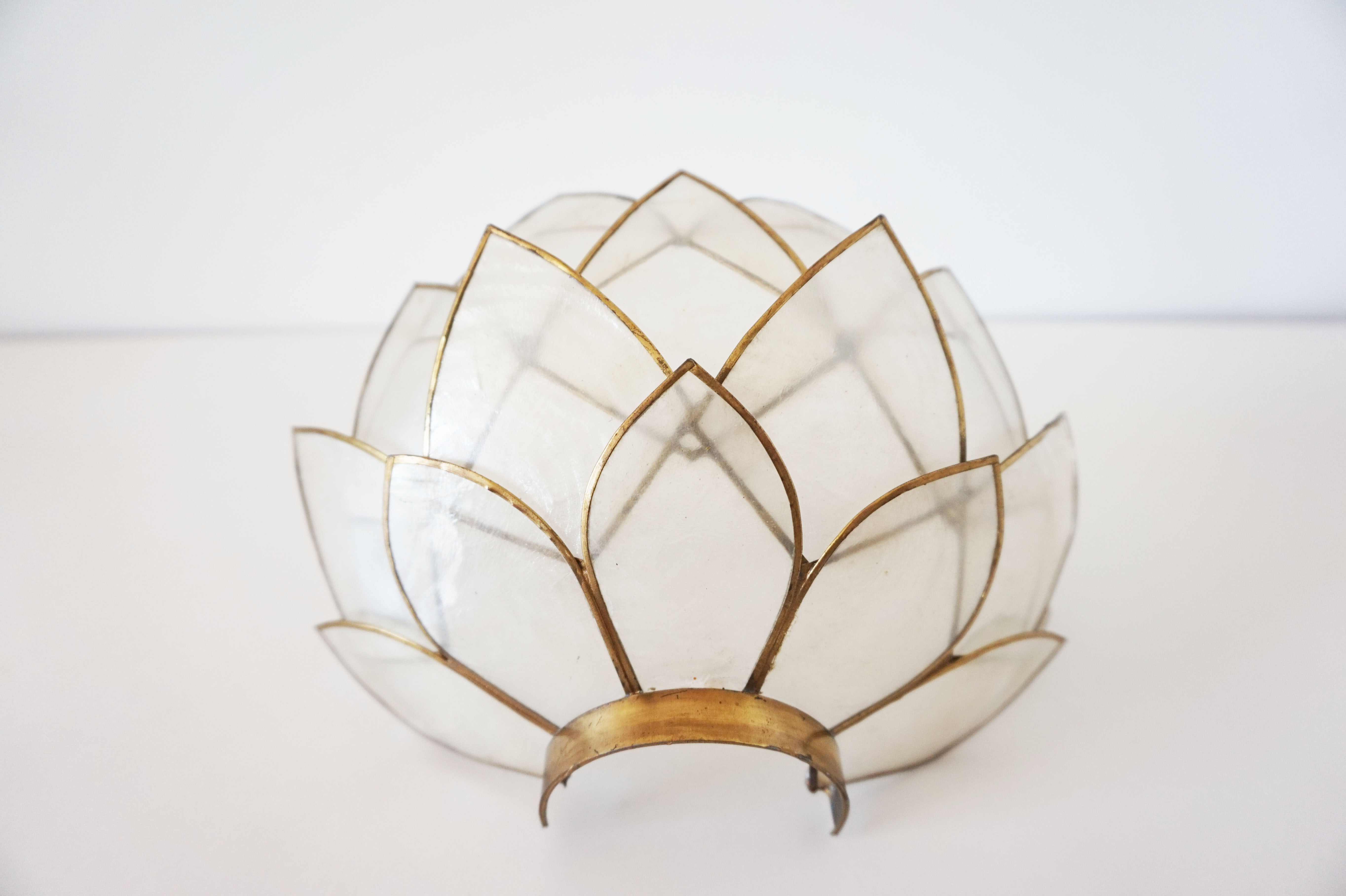 Vintage mother-of-pearl petals sconce