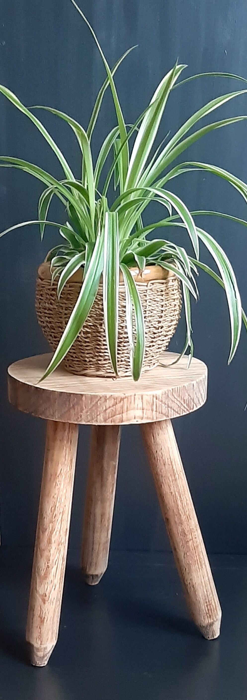 Ancient tripod stool