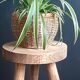 Ancient tripod stool