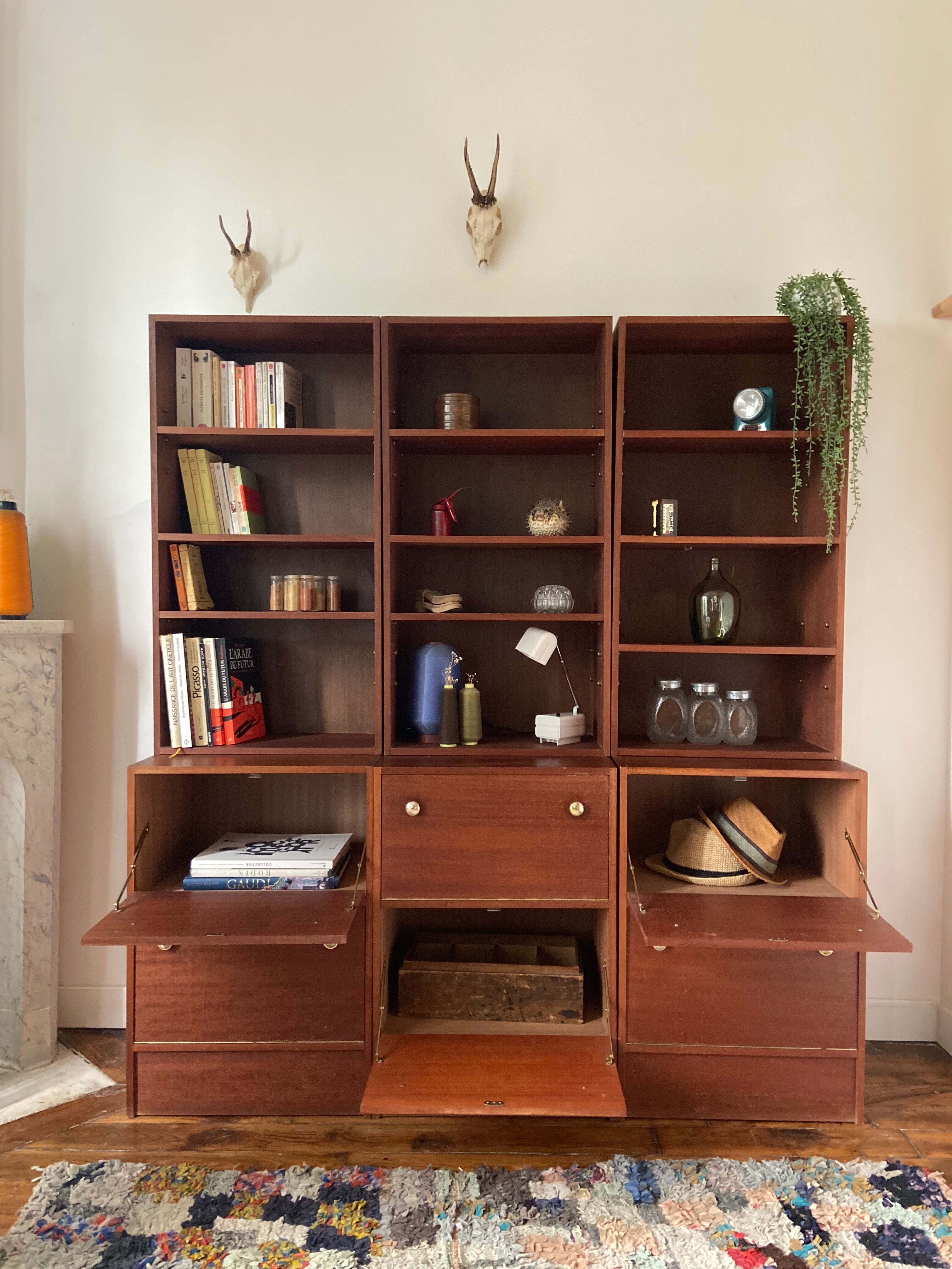 Libraries with valves 1960