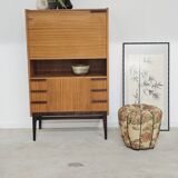 Office Secretary by Frantisek Mezulanik for Up Zavody 1960