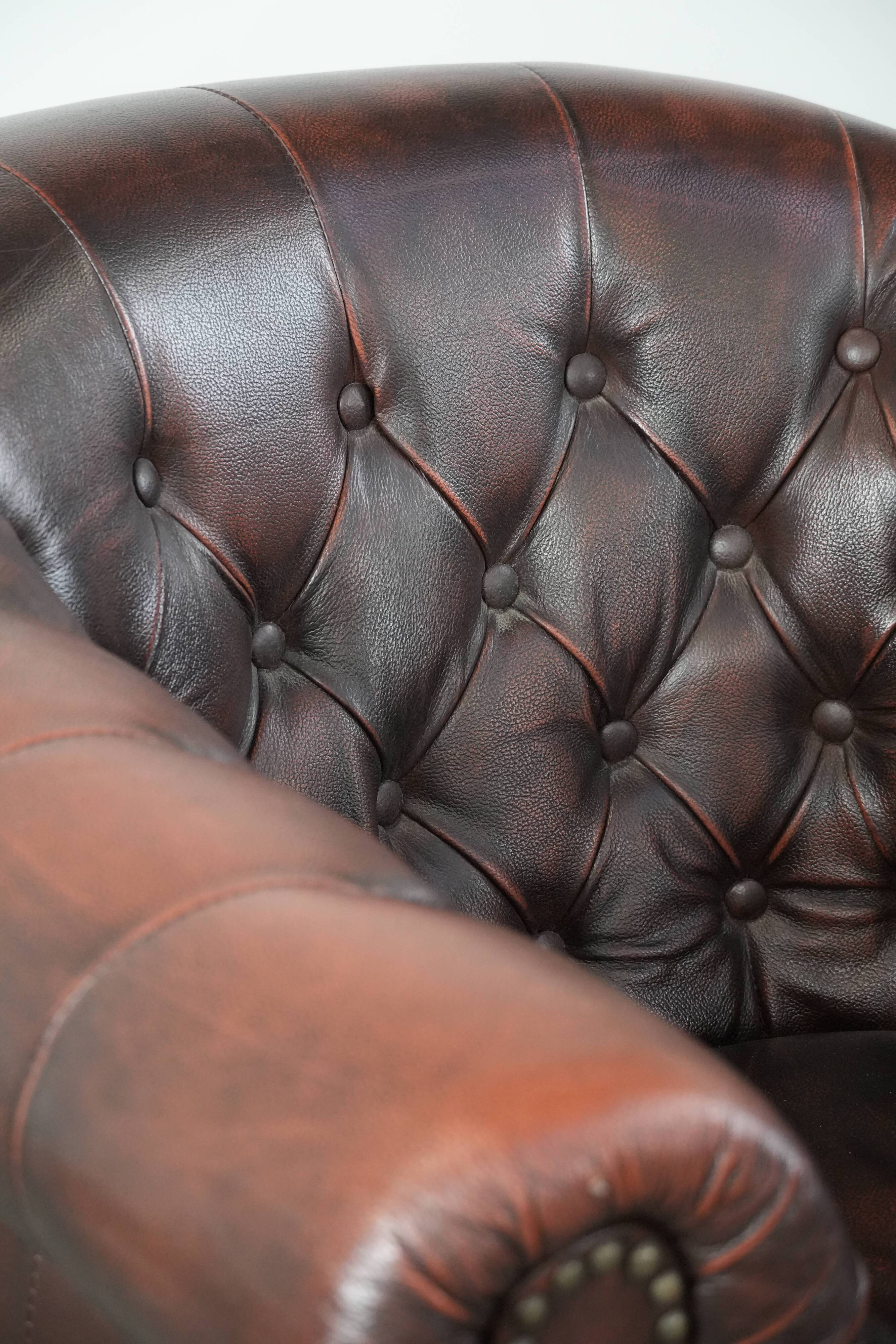 Classic English-style Chesterfield club armchair in cowhide leather