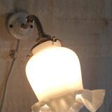 Swan neck wall light in brass, porcelain and opaline - mid 20th century.