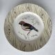7 assiettes anciennes à décor d’oiseaux