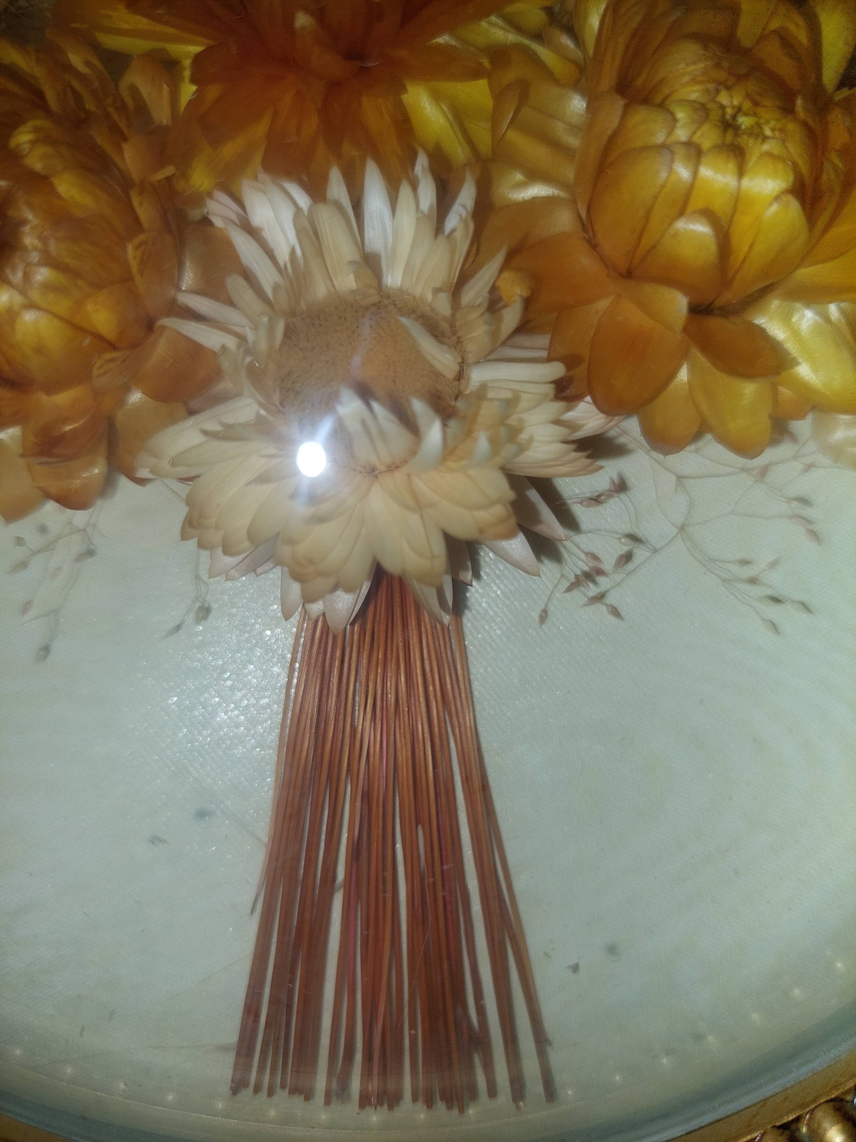 Oval frame domed dried flowers occasion