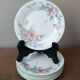 Royal Doulton "Carmel" 1991 | 6 dessert plates with floral decoration