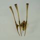 Single Brass Wall Sconce by Oscar Torlasco for Lumi Milano, Italy 1950s