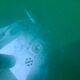 Chaise enfant design italien