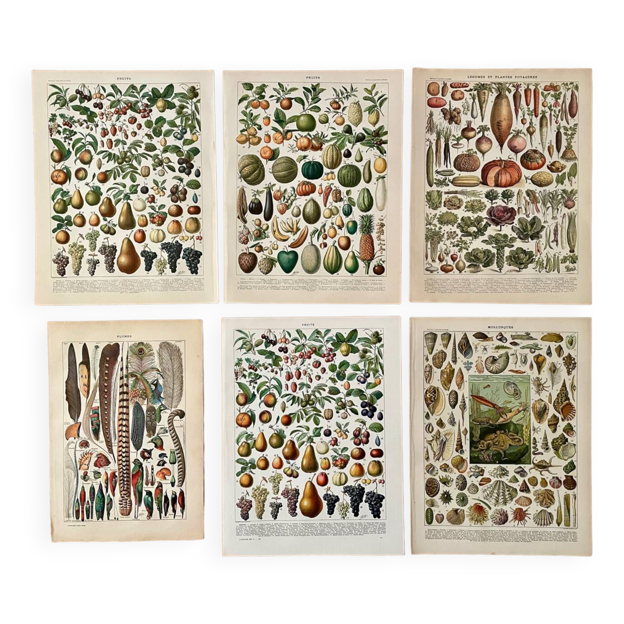 Réserve Audrey - Lot de 6 lithos XXe