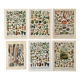 Réserve Audrey - Lot de 6 lithos XXe