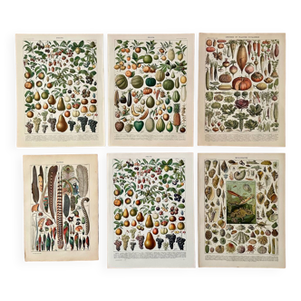 Reserved Audrey - Lot of 6 20th century lithos