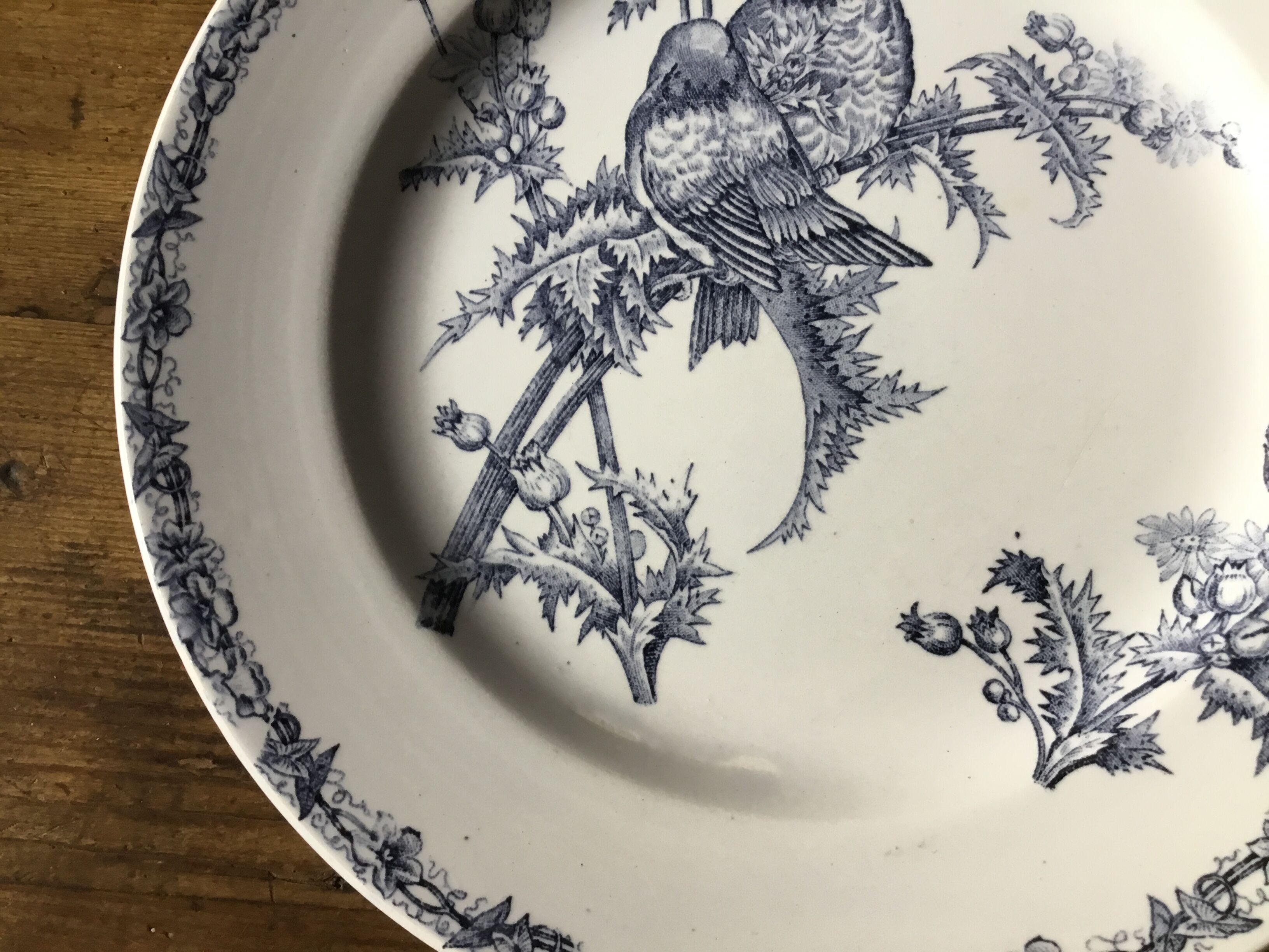 Plate Terre de fer Chardonnerets