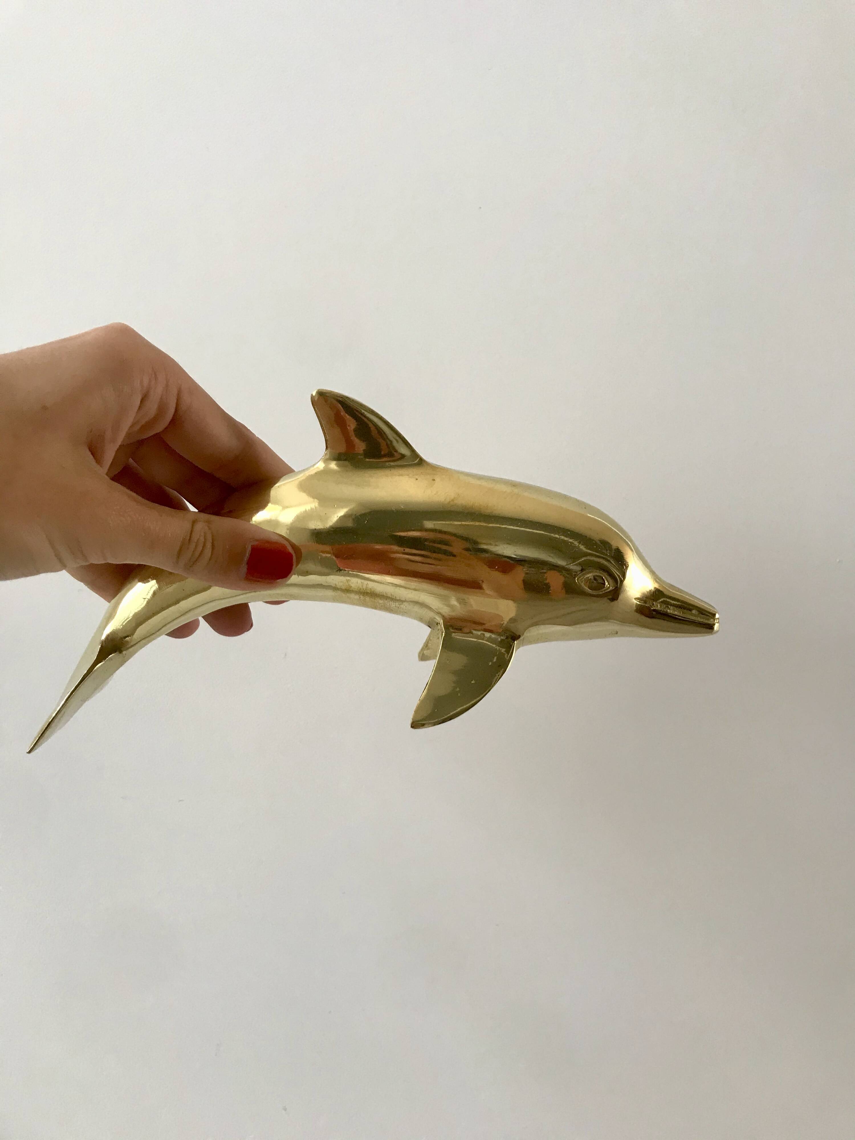 Bottlenose dolphin 1950s