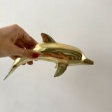 Bottlenose dolphin 1950s
