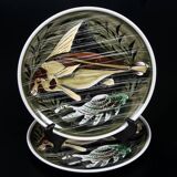 Fish and shellfish plates ceramic Italy vintage 1970 x8