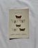 Gravure naturaliste  Papillon 19eme affiche botanique originale 1800