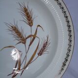 10 Hollow plates wheat pattern - gold edged - pl -porcelain vintage