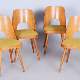 Ensemble de chaises en hêtre brun et jaune du milieu du siècle Oswald Haerdtl années 1950 Tchéquie