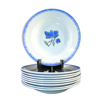 9 hollow plates badonviller décor flower blue