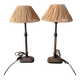 Pair of bedside lamps