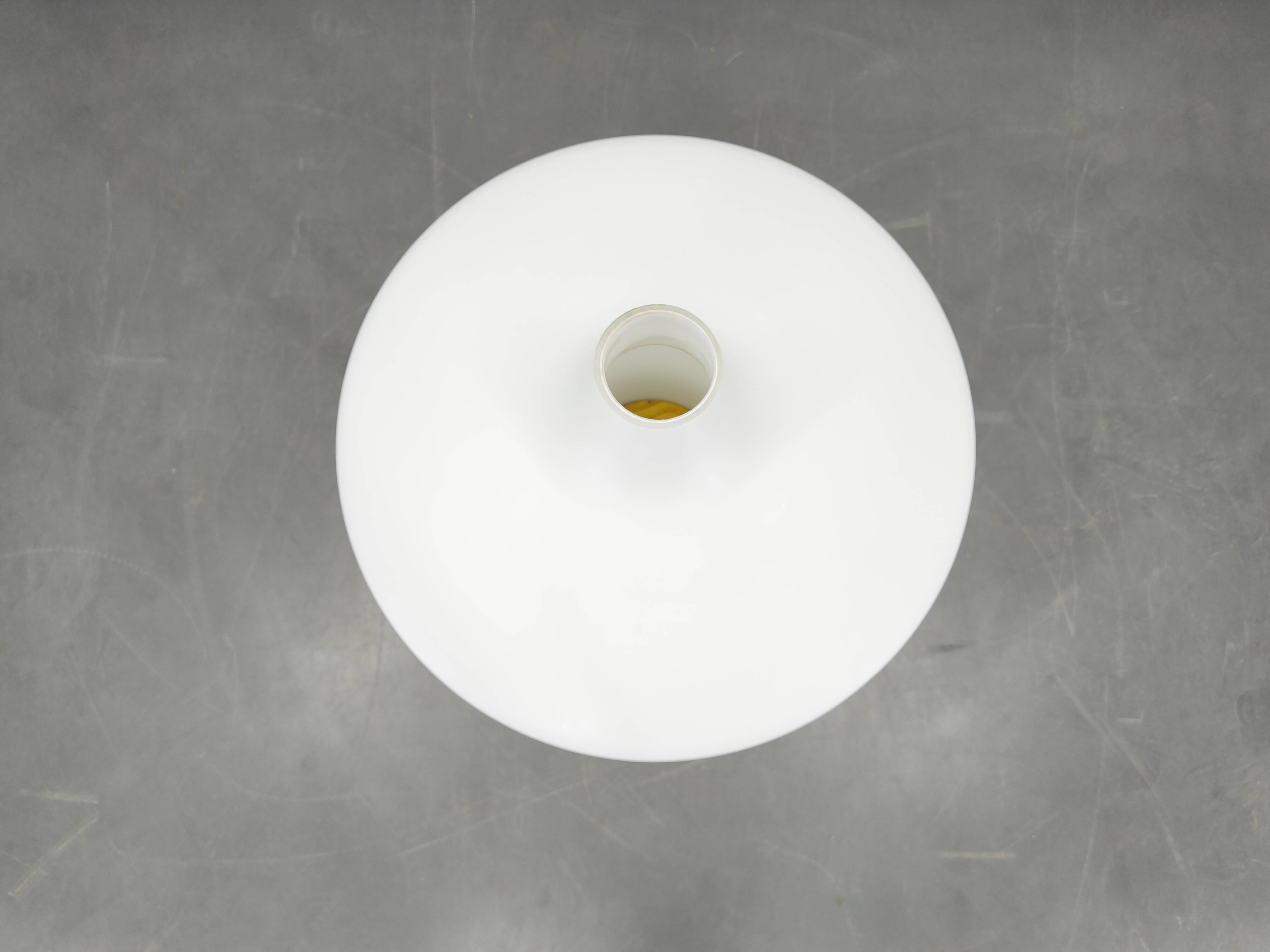 Mid Century Sculptural Floor Lamp with Glass Shade, 1970s