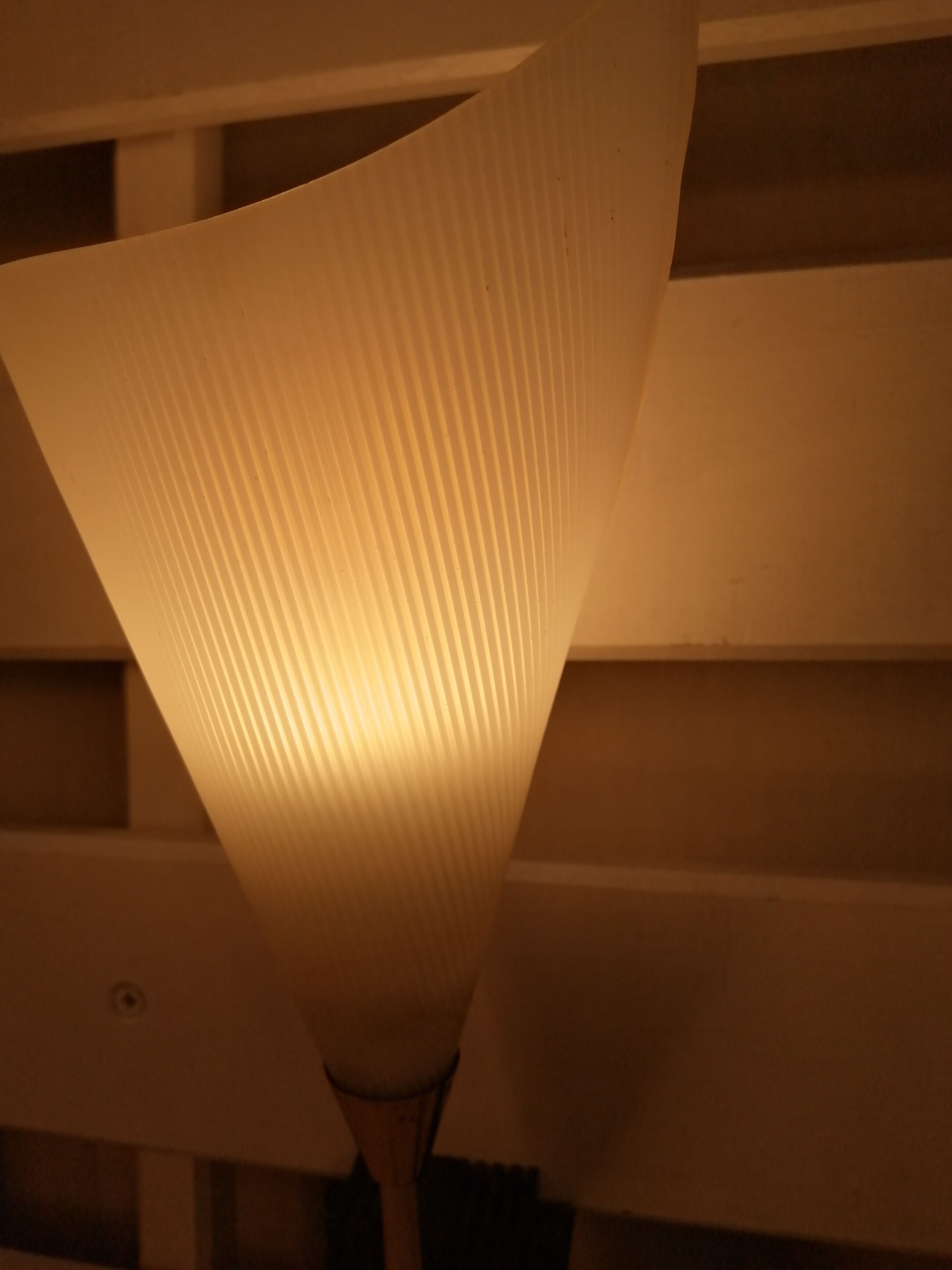 Duo wall lamps vintage tulip - 50s