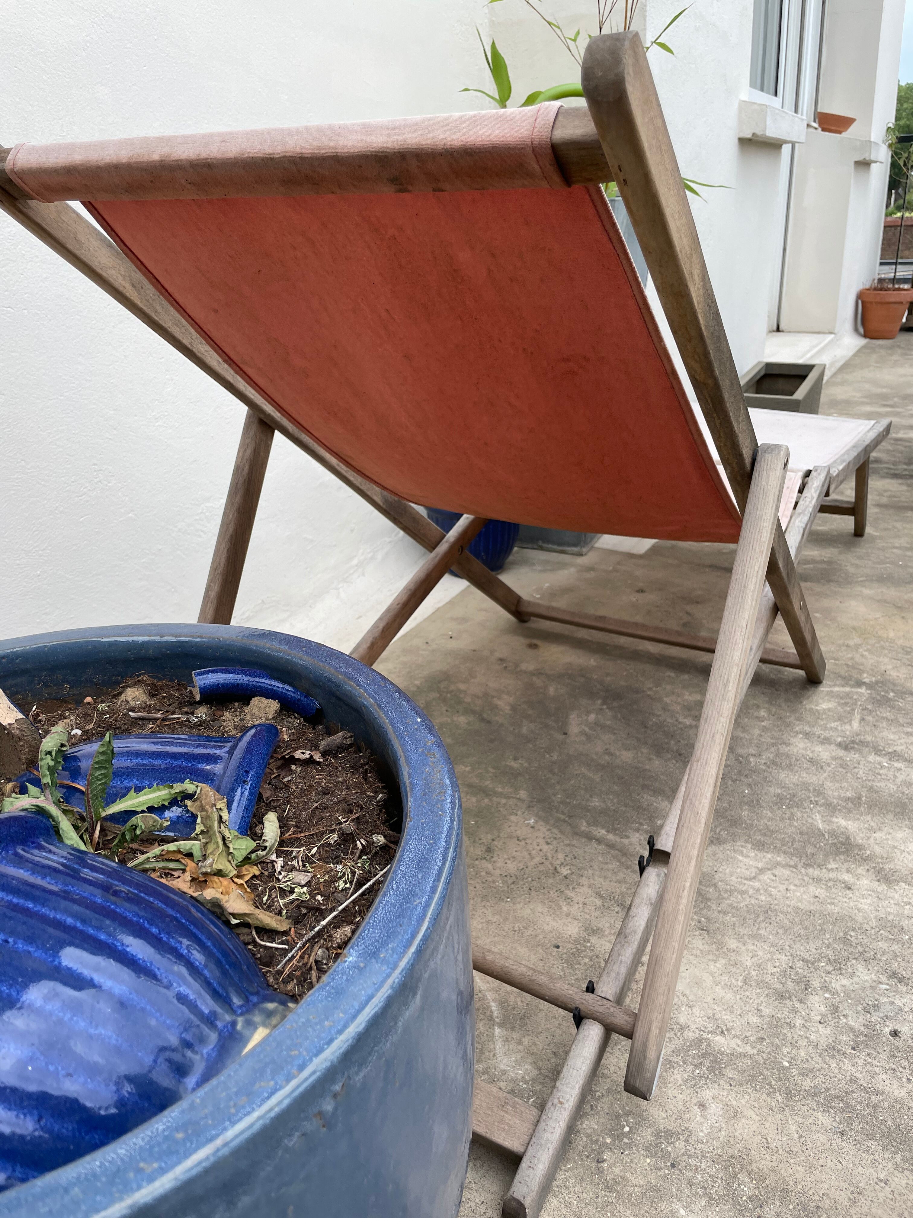 Chilean & Grenadine transat