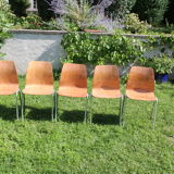 Set of 5 Pagholz Pagwood chairs