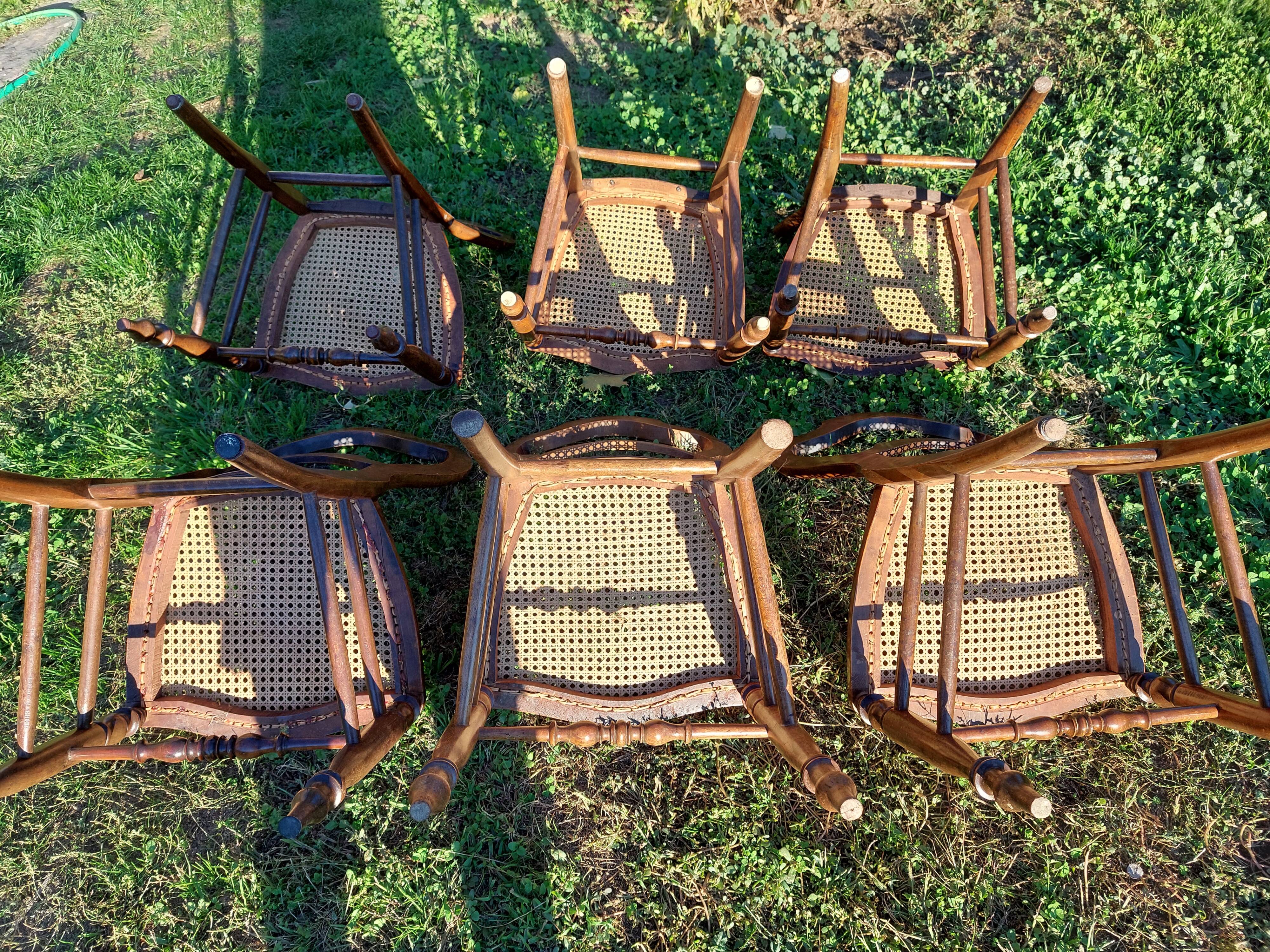 Lot of tanned chairs