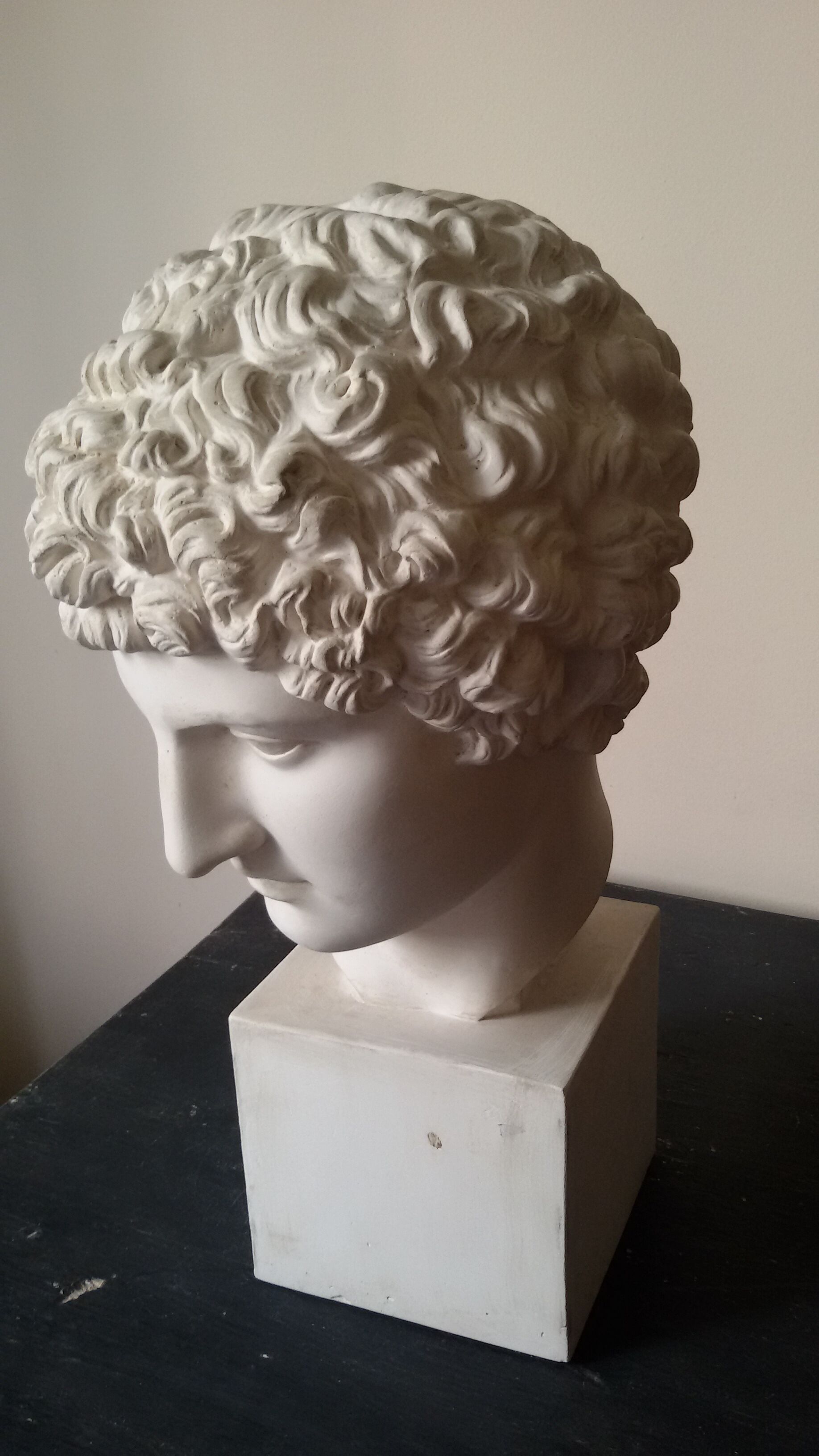 Bust plaster early Apollo twentieth