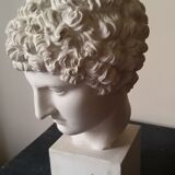 Bust plaster early Apollo twentieth