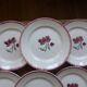 6 Badonviller 200839 dinner plates