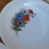 Set of 6 plates in arcopal 70