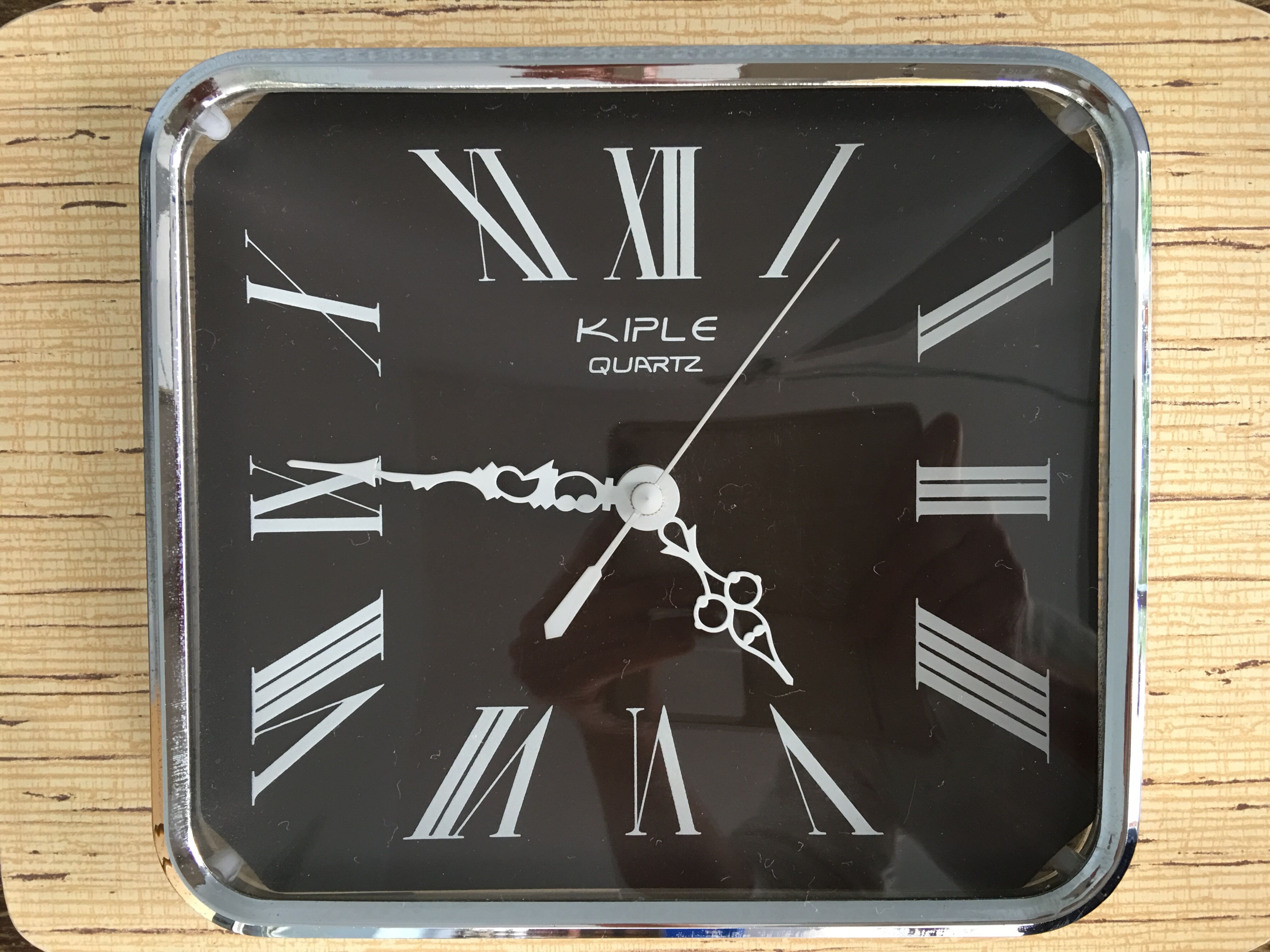 Pendulum formica Kiple, 1970