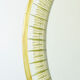 Cristal Arte Italian brass gilded crystal mirror 1960s