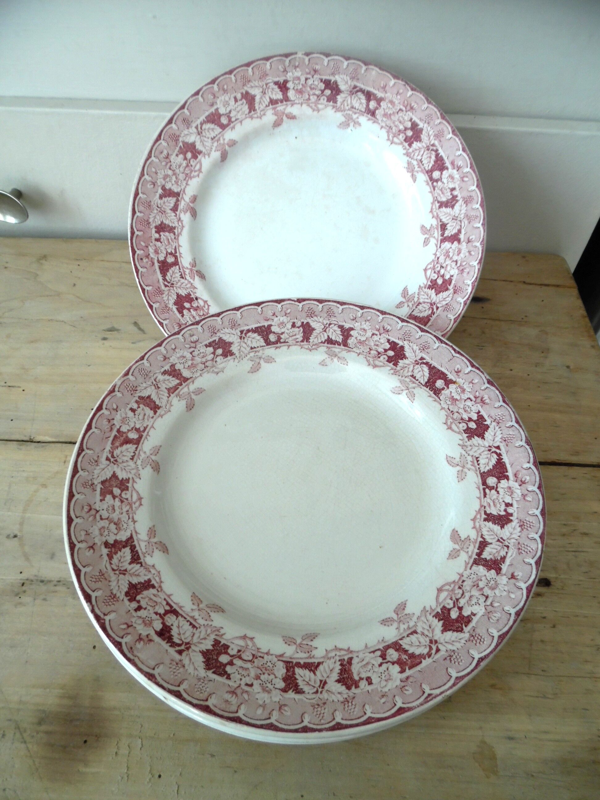 6 flat saint amand plates