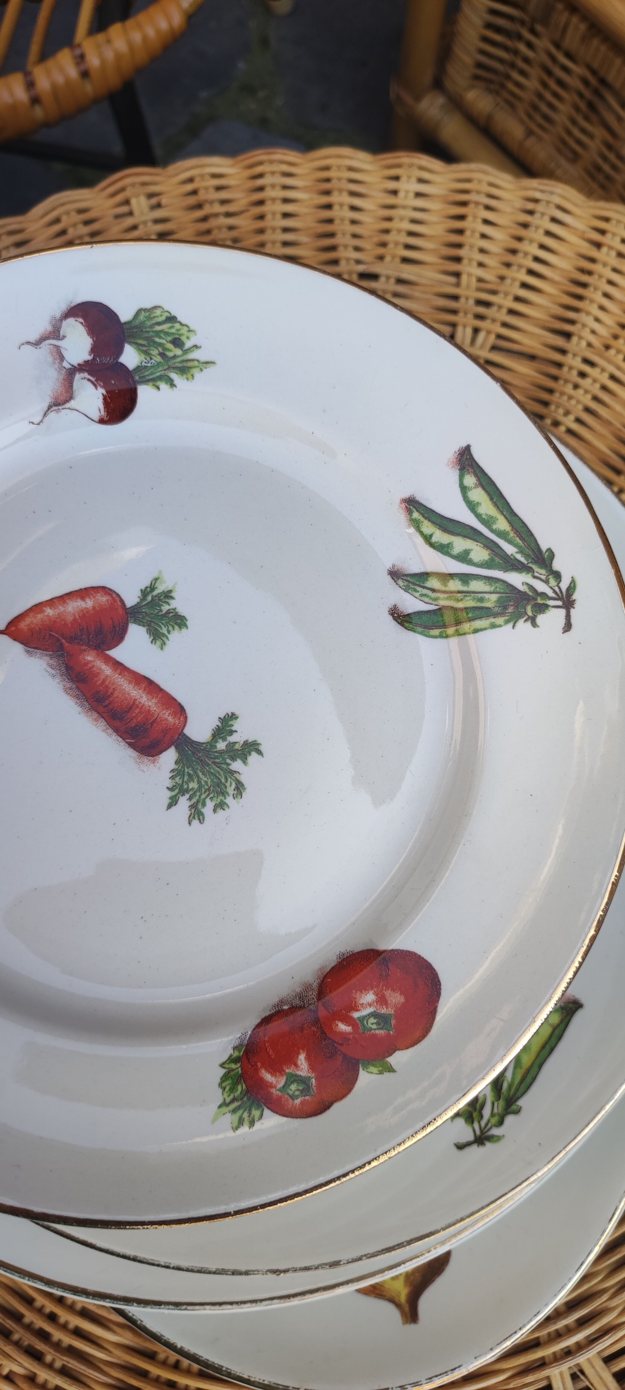 Dishes moulin des loups