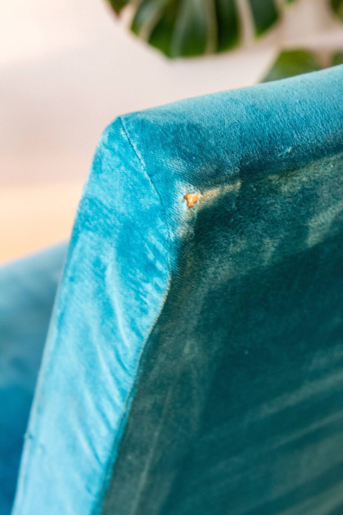 Scandinavian velvet armchair in duck blue, 1950s-60s.