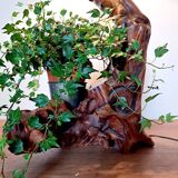 Brutalist lamp in olive wood 1970