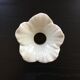 Soliflore fleur blanc